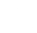 Rally Academy